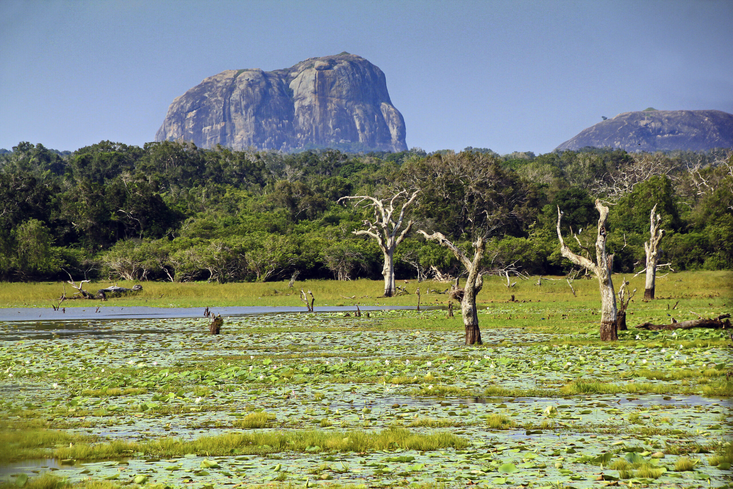 Yala National Park